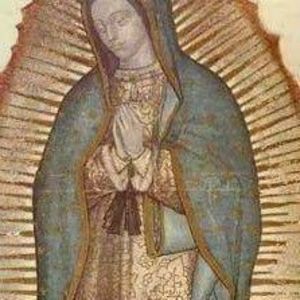 Meet your Posher, Choliss